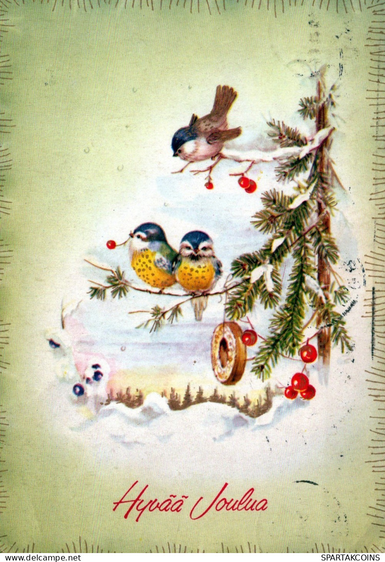 VOGEL Tier Vintage Ansichtskarte Postkarte CPSM #PAM866.DE - Vogels