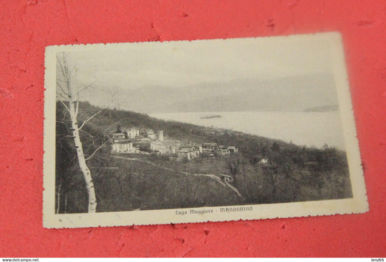 VCO Lago Maggiore Magognino 1915 Ed. Grisoni - Verbania