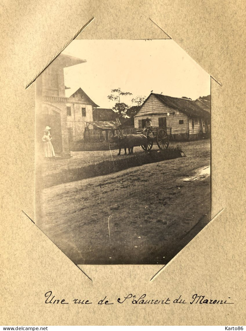 St Laurent Du Maroni , Guyane * Une Rue Du Village * Attelage Buffles Boeufs * RARE Photo Circa 1890/1910 10x8cm - Saint Laurent Du Maroni