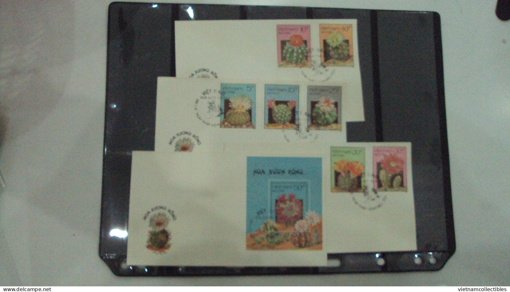 FDC Vietnam Viet Nam Covers 1987 : Cacti / Cactus Flower / Wrong Word Of XUONG (Ms532) - Viêt-Nam