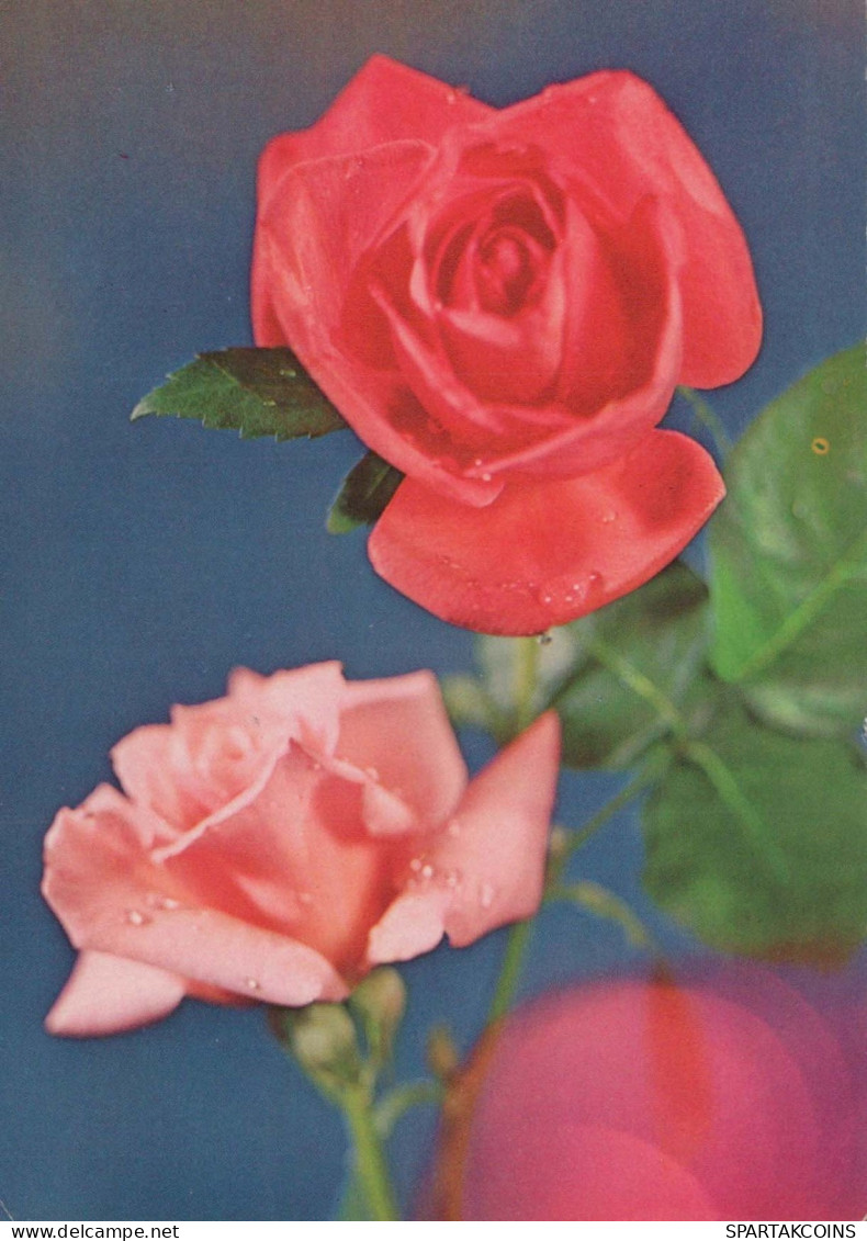 FLORES Vintage Tarjeta Postal CPSM #PAS153.ES - Fleurs