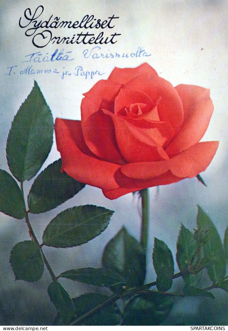 FLORES Vintage Tarjeta Postal CPSM #PAS213.ES - Flowers