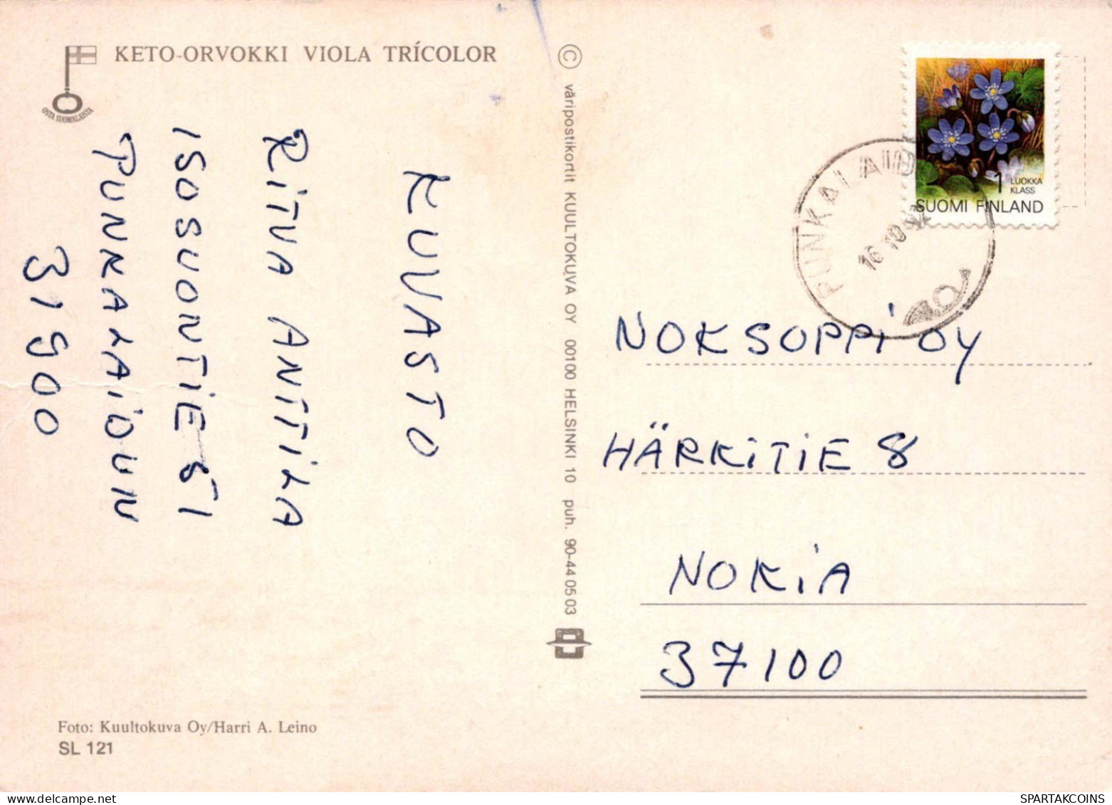 FLORES Vintage Tarjeta Postal CPSM #PAS453.ES - Fleurs