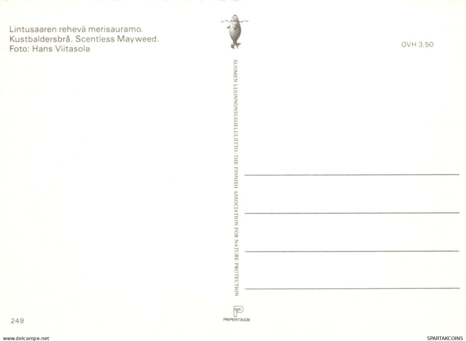 FLORES Vintage Tarjeta Postal CPSM #PAR672.ES - Blumen