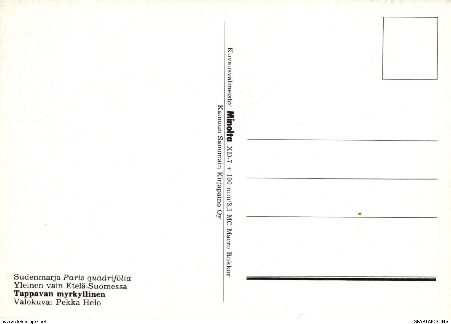 FLORES Vintage Tarjeta Postal CPSM #PAR492.ES - Blumen