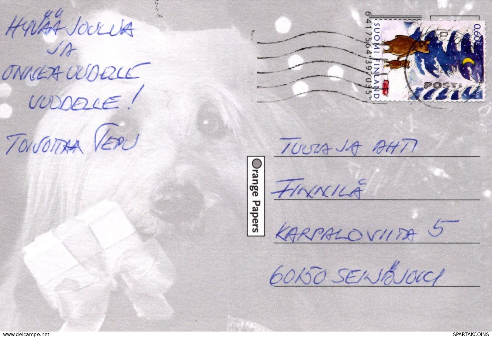 PERRO Animales Vintage Tarjeta Postal CPSM #PAN614.ES - Dogs