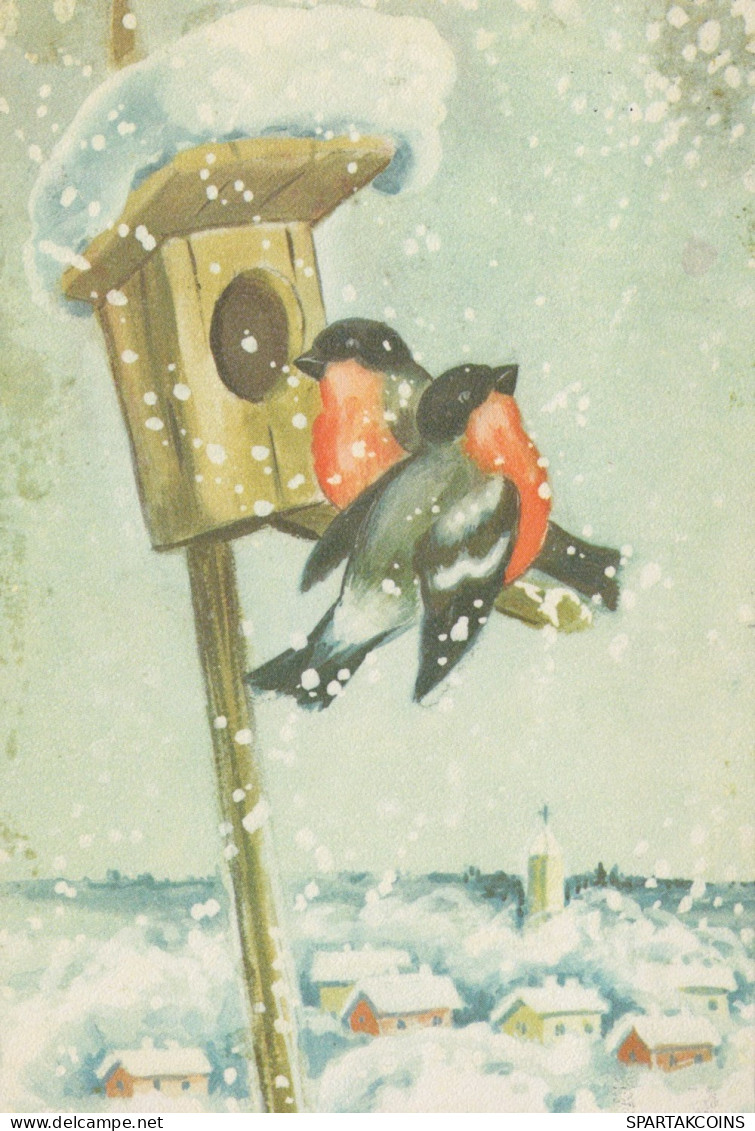 PÁJARO Animales Vintage Tarjeta Postal CPSM #PAM926.ES - Vögel