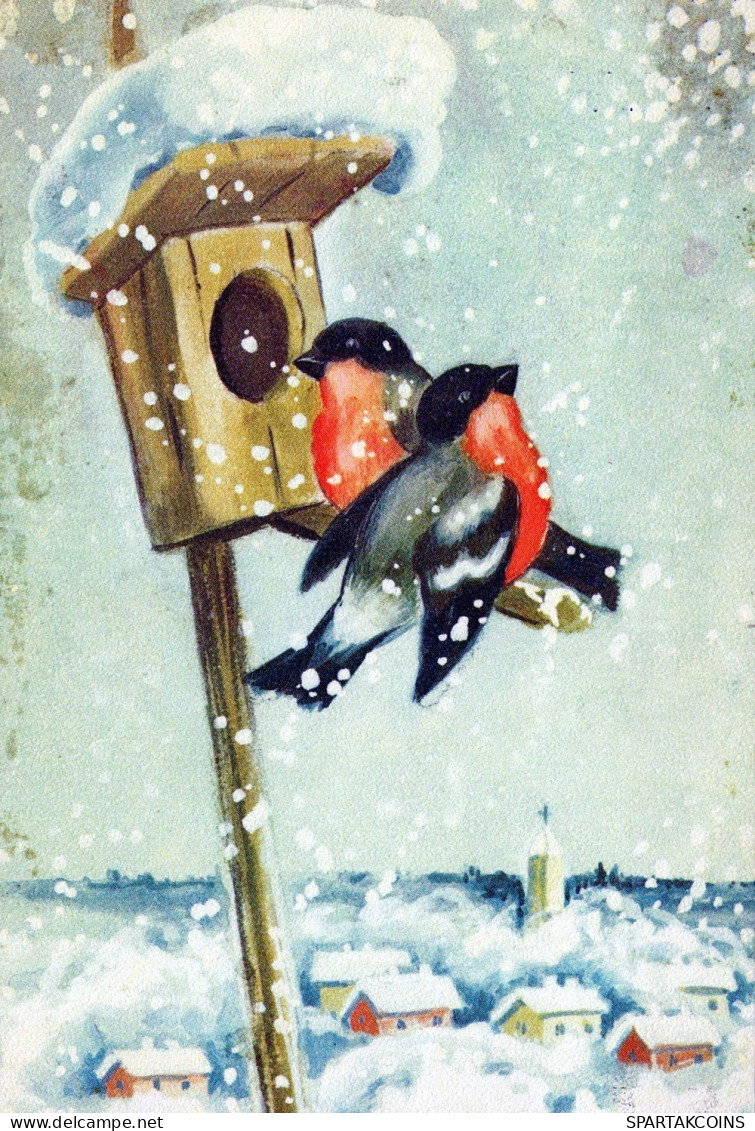 PÁJARO Animales Vintage Tarjeta Postal CPSM #PAM926.ES - Vogels