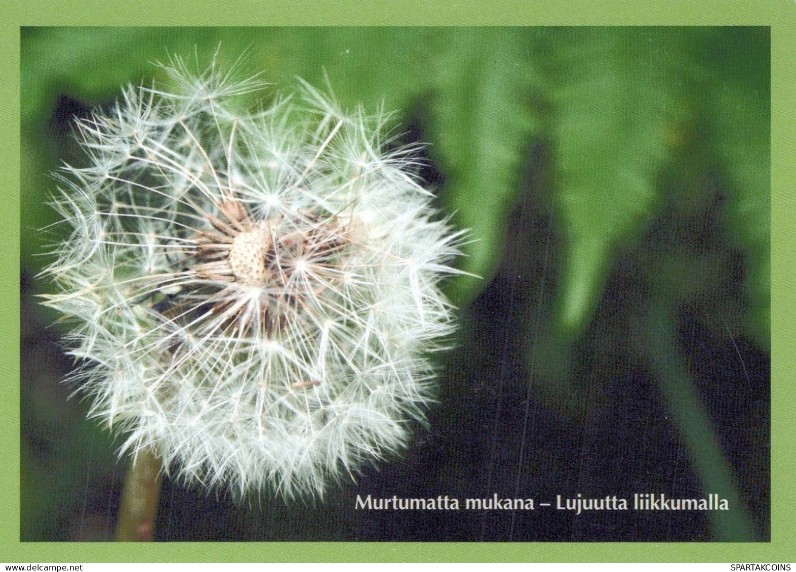 FLOWERS Vintage Ansichtskarte Postkarte CPSM #PBZ682.DE - Flowers