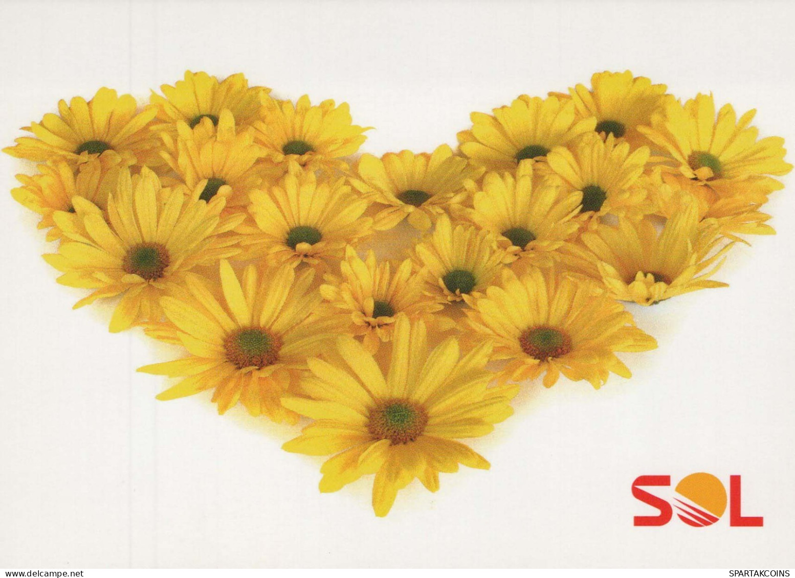 FLOWERS Vintage Ansichtskarte Postkarte CPSM #PBZ622.DE - Flowers