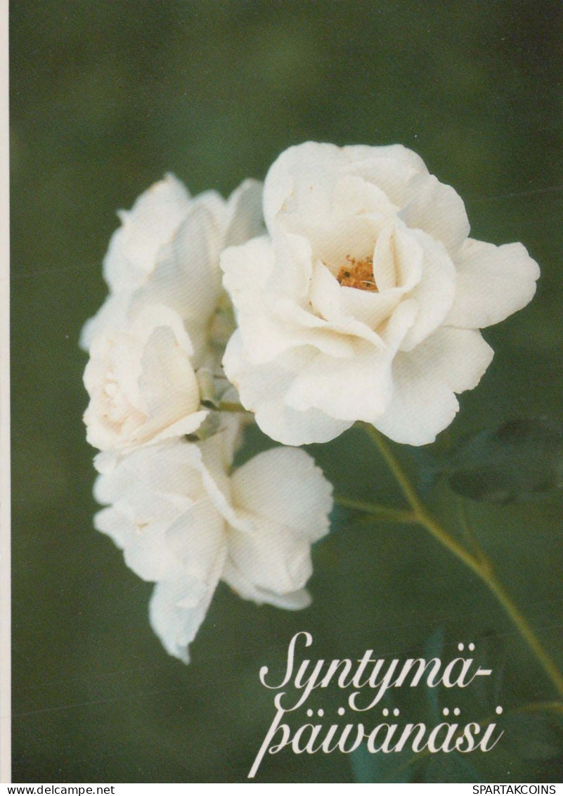 FLOWERS Vintage Ansichtskarte Postkarte CPSM #PBZ562.DE - Blumen