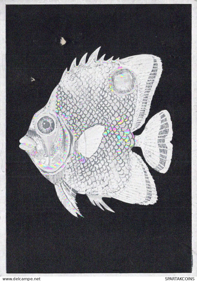 FISCH Tier Vintage Ansichtskarte Postkarte CPSM #PBS868.DE - Fische Und Schaltiere