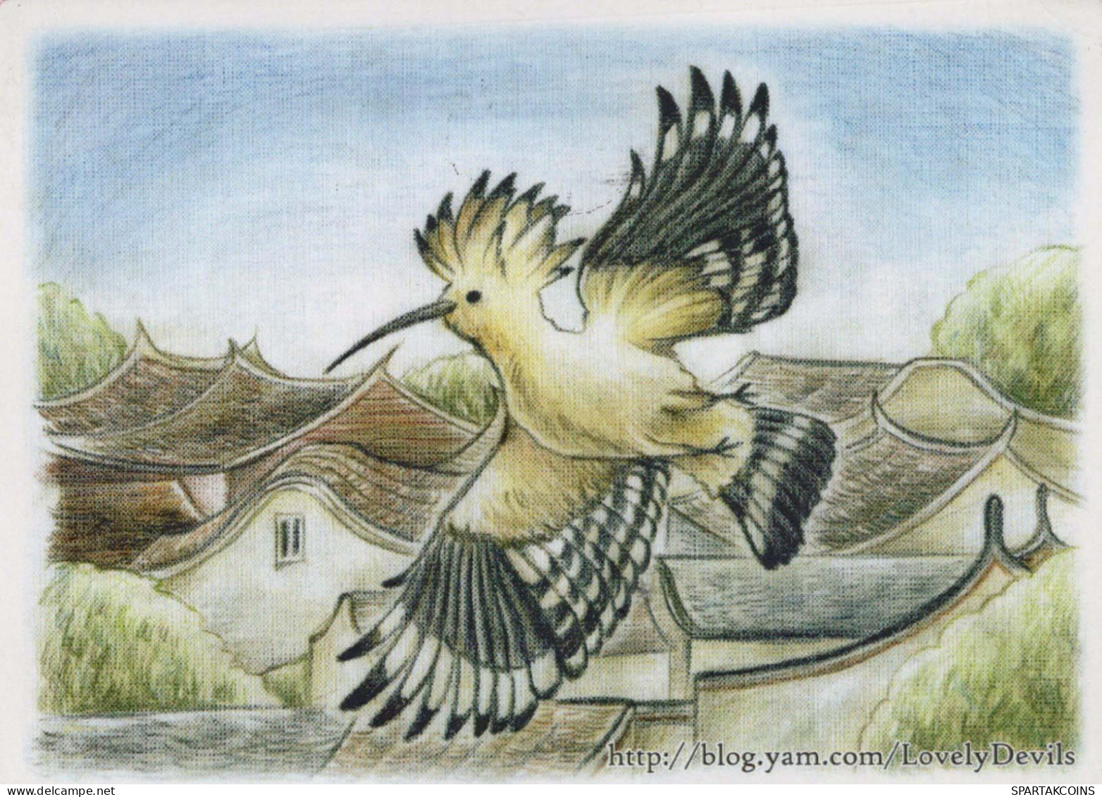 VOGEL Tier Vintage Ansichtskarte Postkarte CPSM #PBR552.DE - Oiseaux