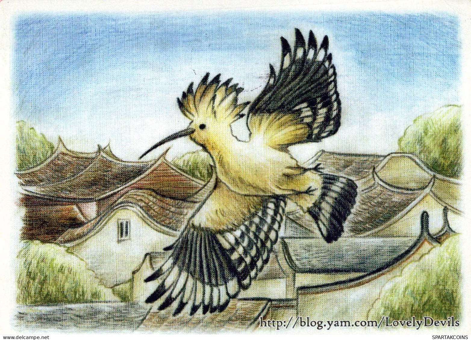 VOGEL Tier Vintage Ansichtskarte Postkarte CPSM #PBR552.DE - Vogels