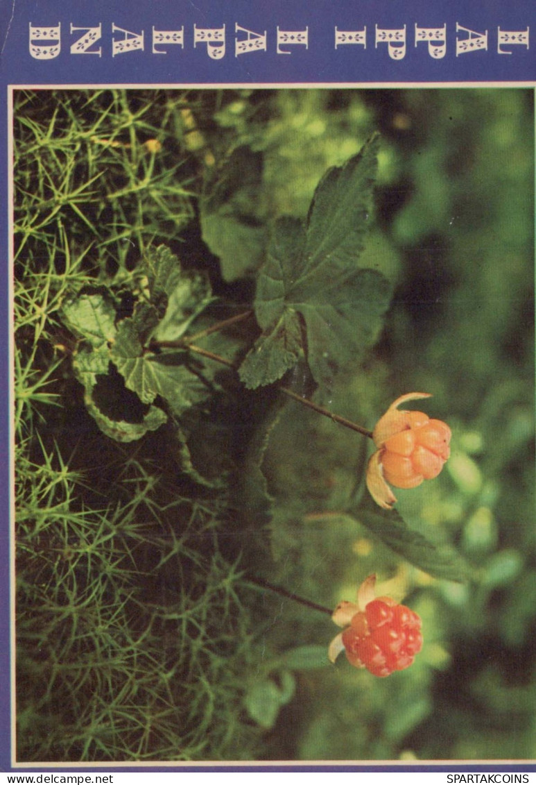 FLEURS Vintage Carte Postale CPSM #PAS514.FR - Flowers