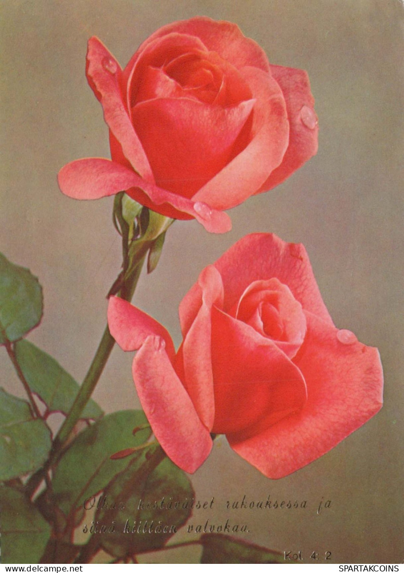 FLEURS Vintage Carte Postale CPSM #PAS154.FR - Flowers