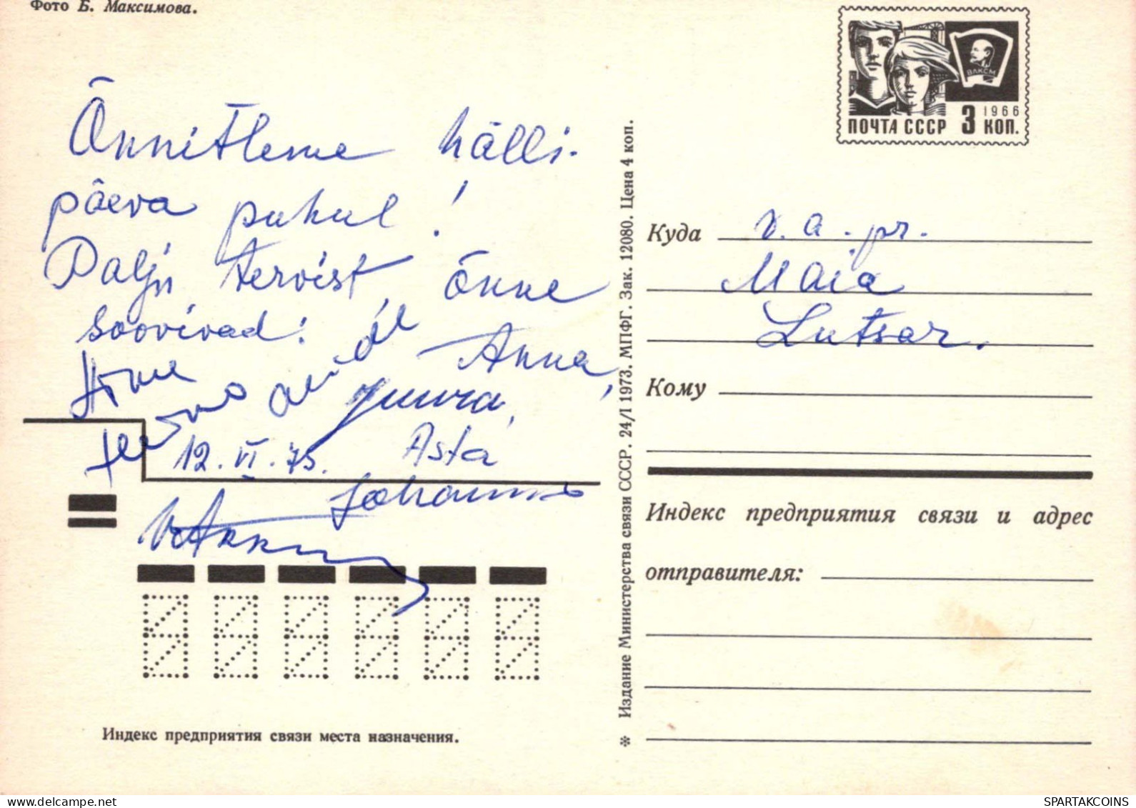 FLEURS Vintage Carte Postale CPSM #PAR433.FR - Flowers
