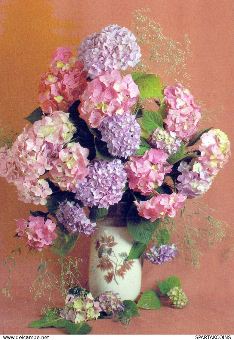 FLEURS Vintage Carte Postale CPSM #PAR373.FR - Fleurs