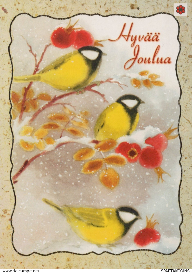 OISEAU Animaux Vintage Carte Postale CPSM #PAM865.FR - Birds