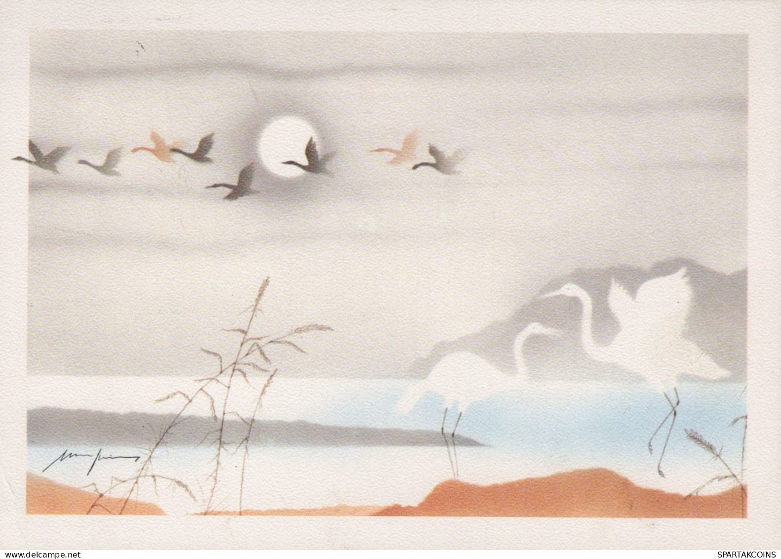 OISEAU Animaux Vintage Carte Postale CPSM #PAN296.FR - Birds