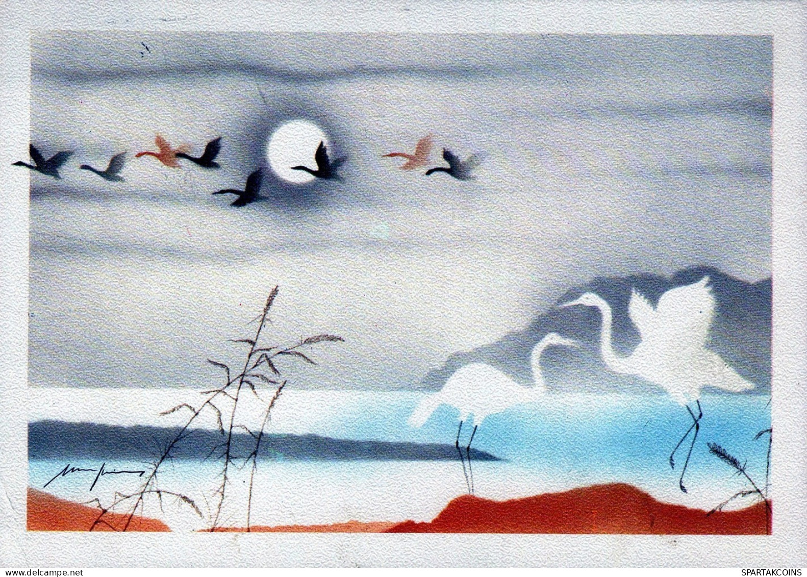 OISEAU Animaux Vintage Carte Postale CPSM #PAN296.FR - Birds