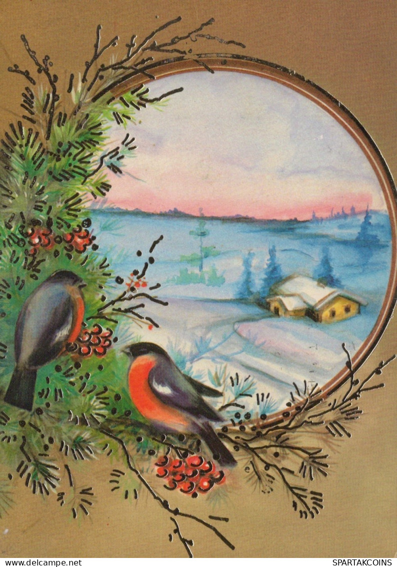 OISEAU Animaux Vintage Carte Postale CPSM #PAM990.FR - Oiseaux