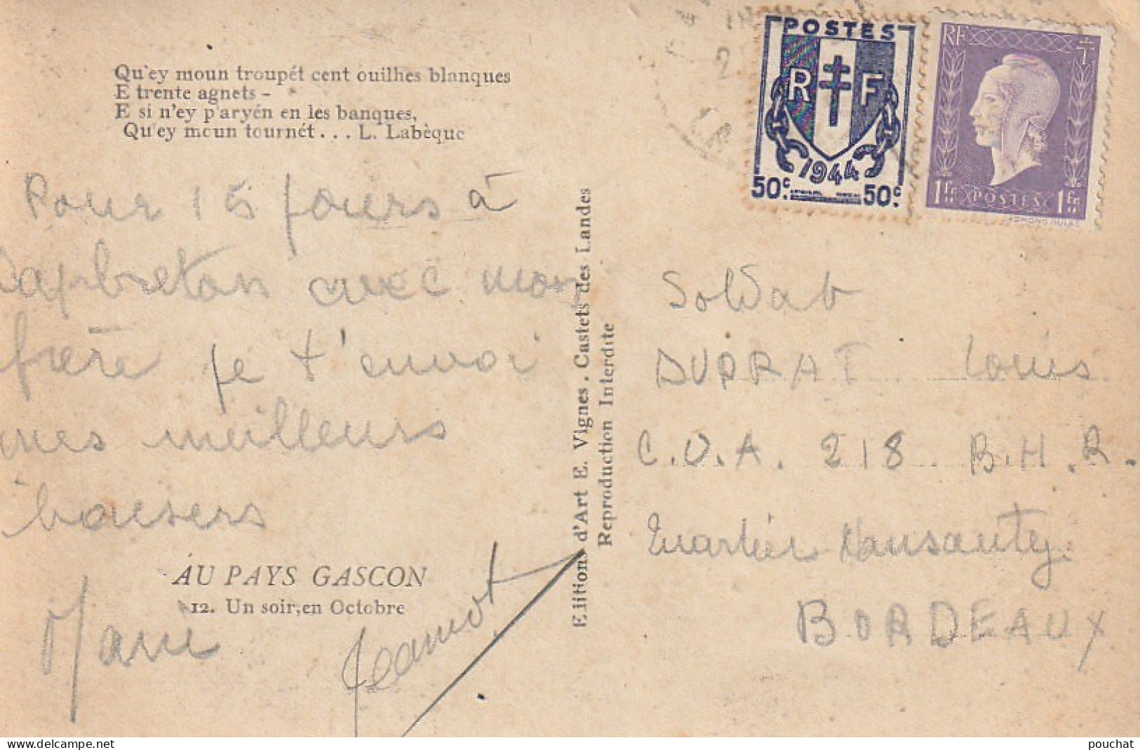 0P 23-(40) AU PAYS GASCON , UN SOIR , EN OCTOBRE - BERGER ET TROUPEAU DE MOUTONS - ED . VIGNES , CASTETS DES LANDES - Aquitaine