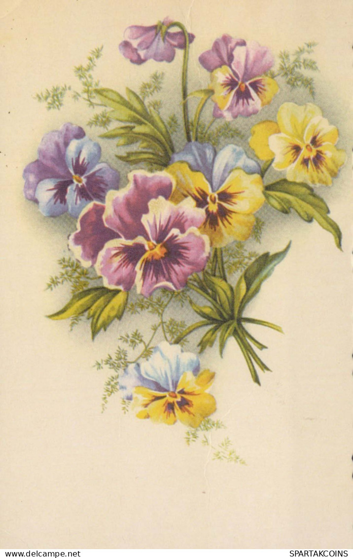 FLORES Vintage Tarjeta Postal CPSMPF #PKG038.ES - Blumen