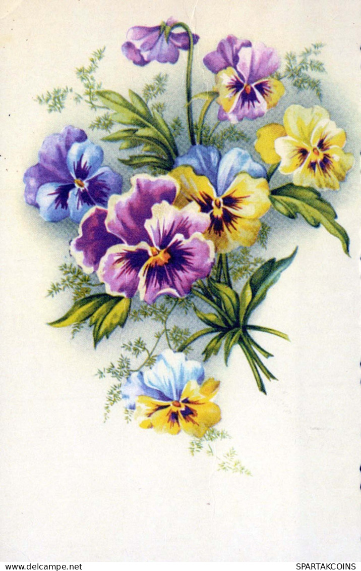 FLORES Vintage Tarjeta Postal CPSMPF #PKG038.ES - Flowers