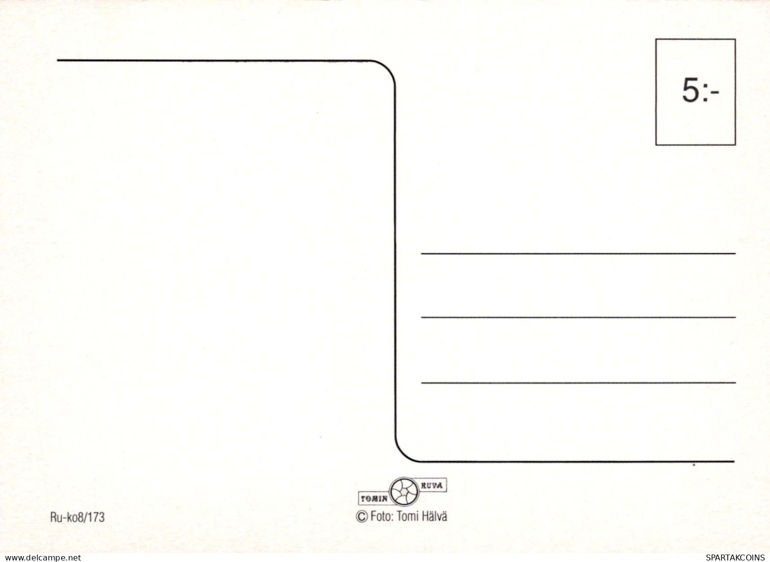 FLORES Vintage Tarjeta Postal CPSM #PBZ680.ES - Blumen