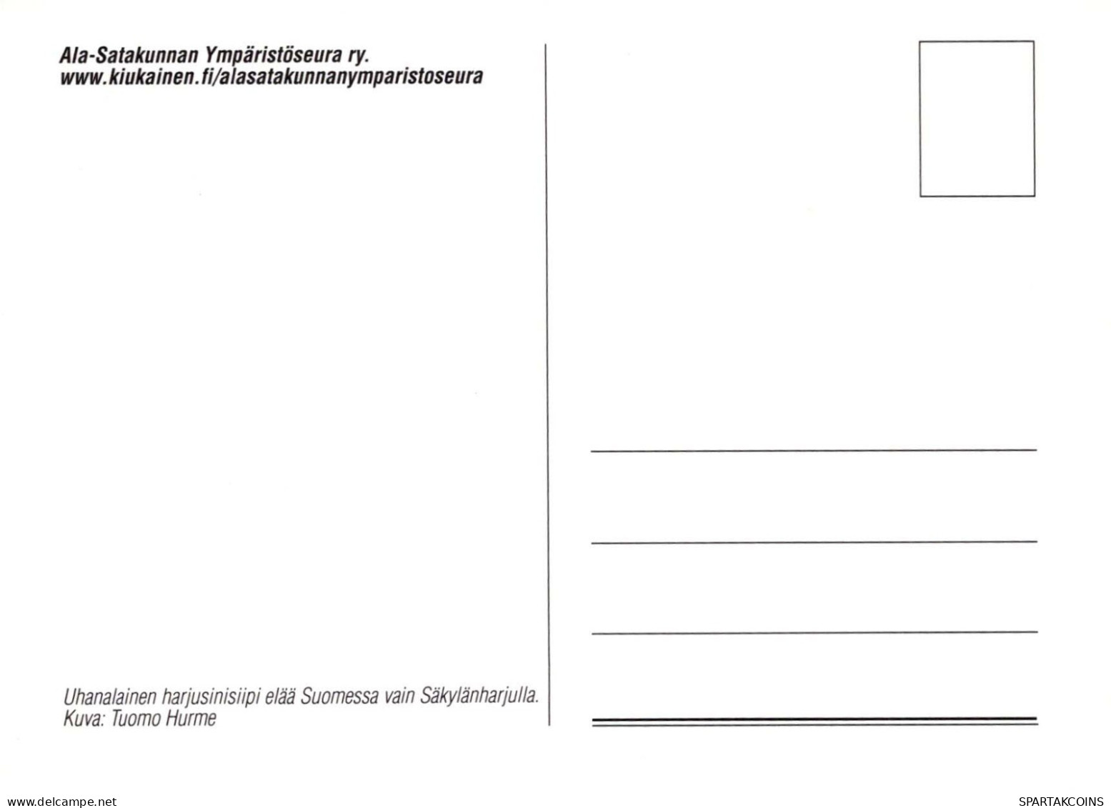 MARIPOSAS Vintage Tarjeta Postal CPSM #PBZ924.ES - Schmetterlinge