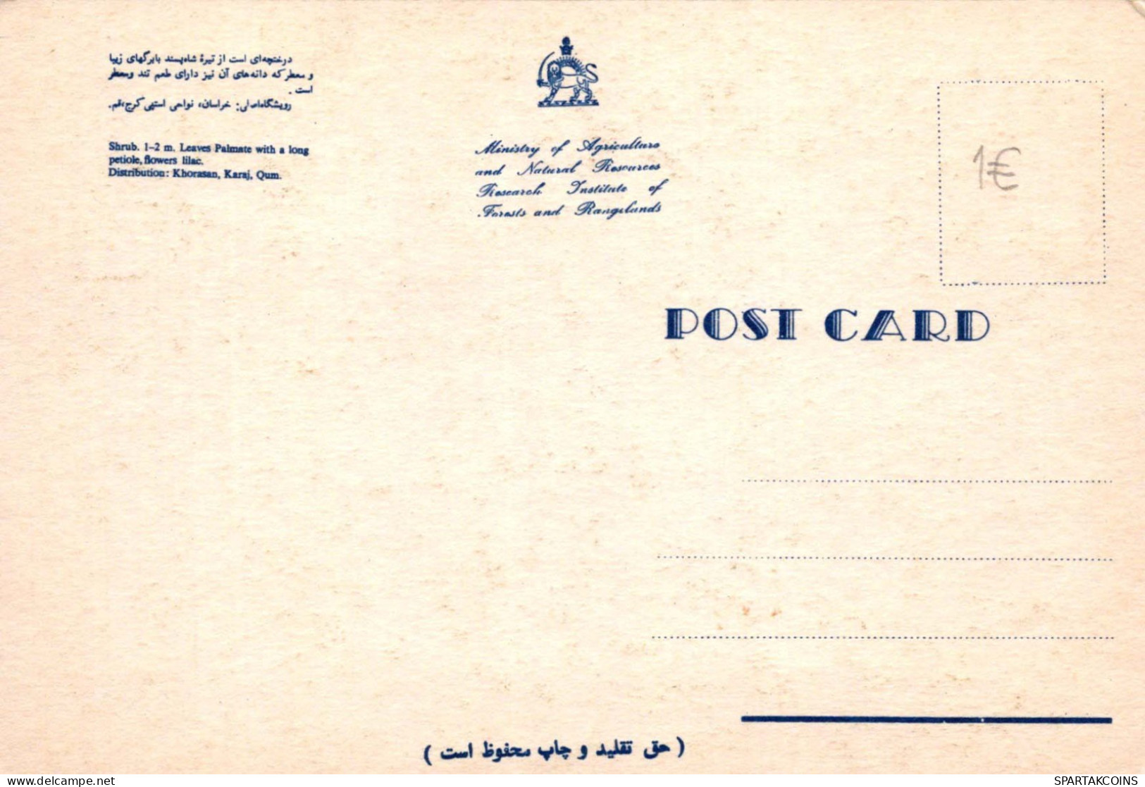 FLORES Vintage Tarjeta Postal CPSM #PBZ620.ES - Bloemen