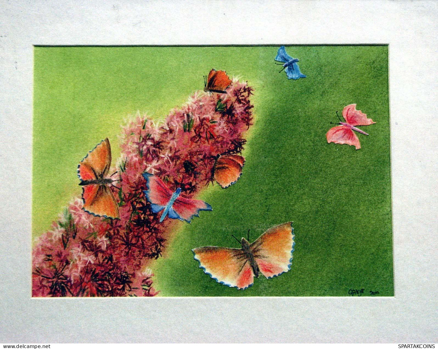 FLORES Vintage Tarjeta Postal CPSM #PBZ019.ES - Fleurs