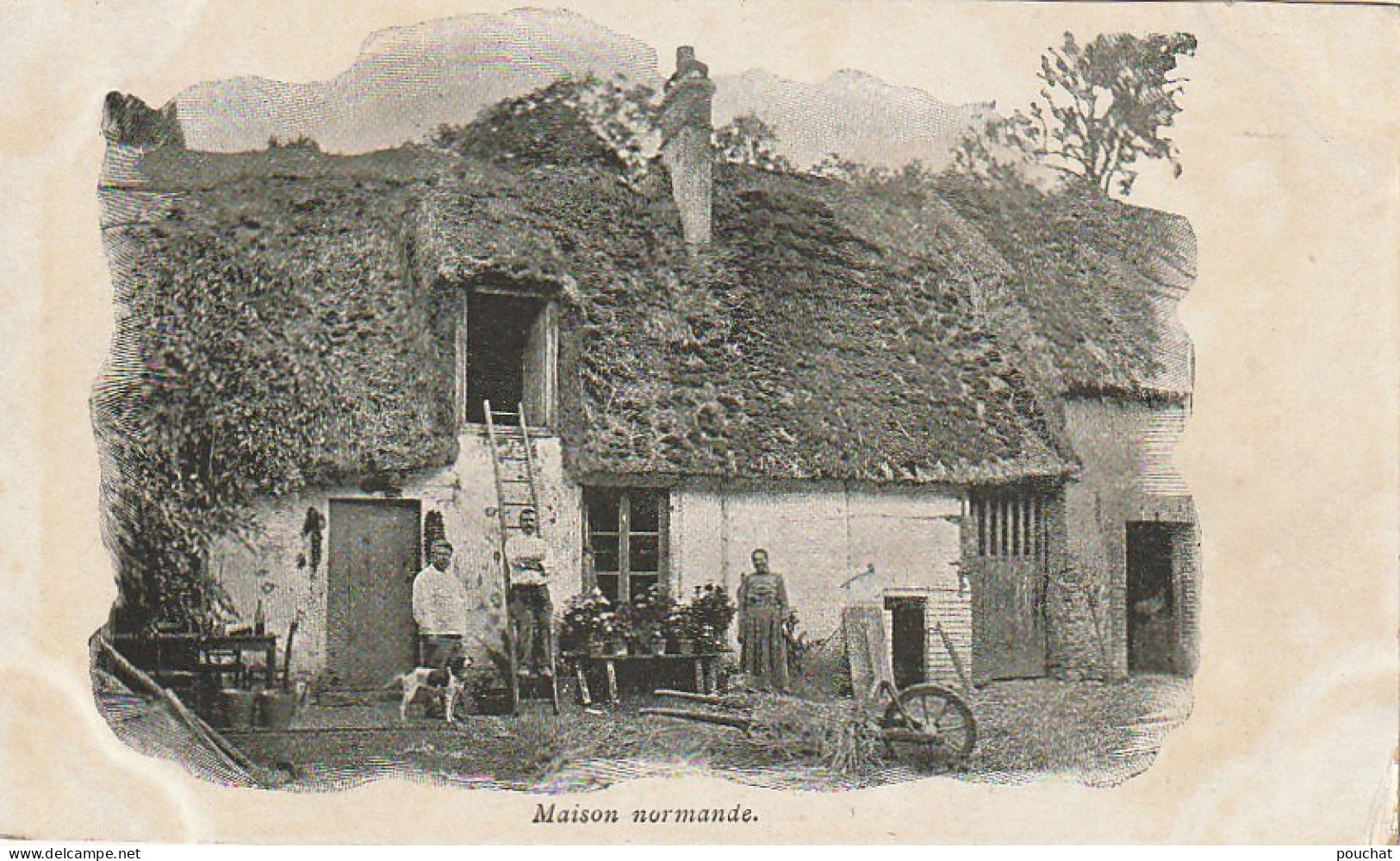 OP 23- MAISON NORMANDE - PAYSANS AVEC CHIEN DEVANT LEUR MAISON - 2 SCANS - Andere & Zonder Classificatie