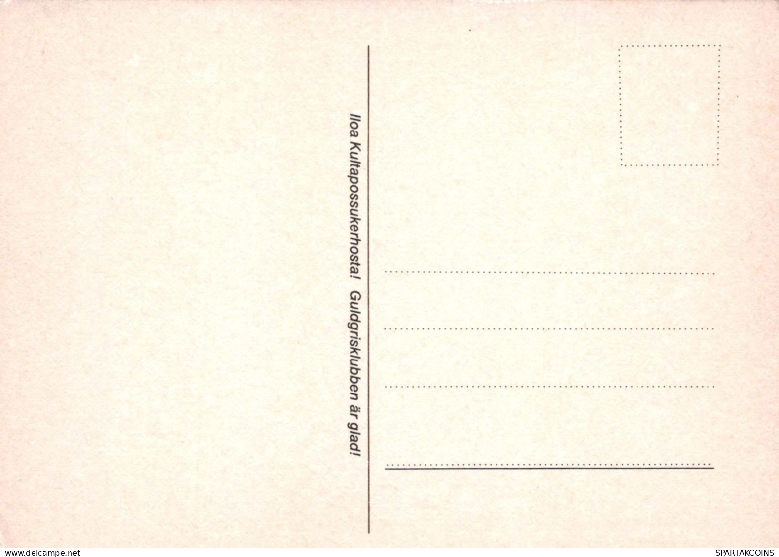 CERDOS Animales Vintage Tarjeta Postal CPSM #PBR743.ES - Schweine