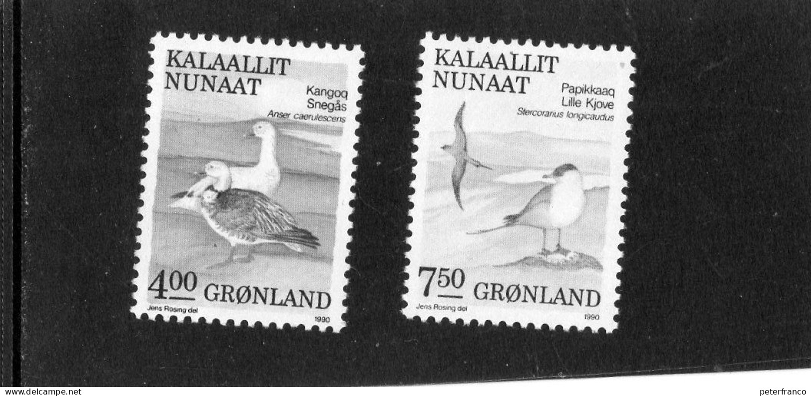 1990 Groenlandia - Uccelli - Nuovi