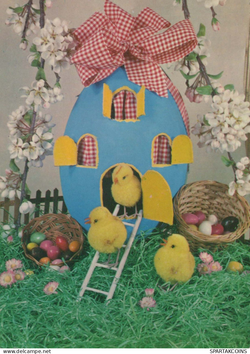 PASCUA POLLO HUEVO Vintage Tarjeta Postal CPSM #PBO604.ES - Easter