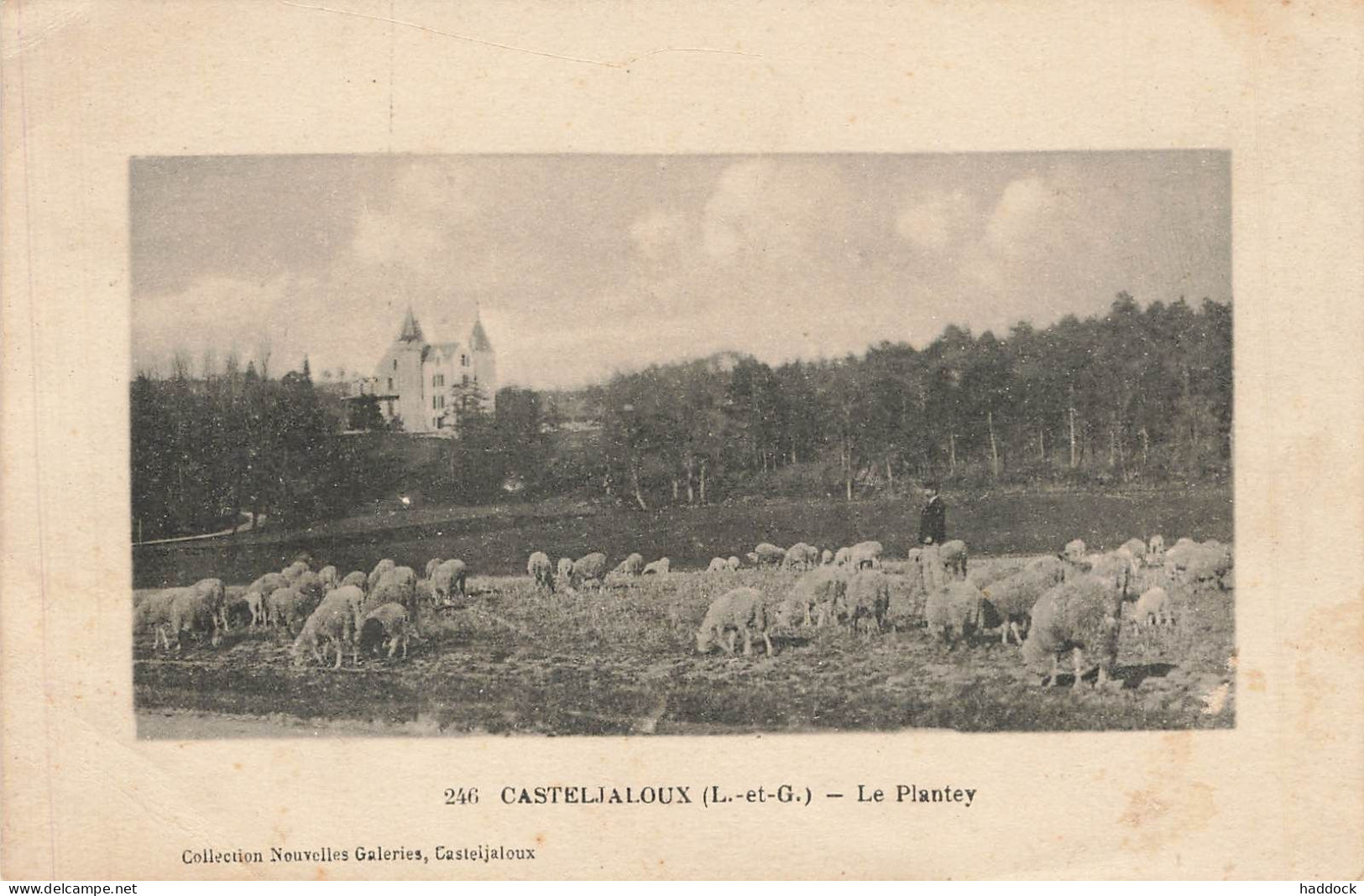 CASTELJALOUX : LE PLANTEY - Casteljaloux