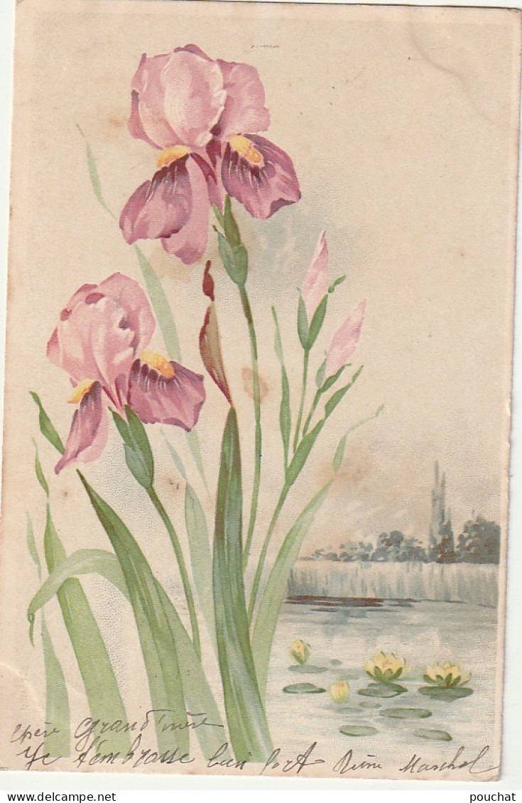 OP 24- CARTE FANTAISIE - IRIS ET NENUPHARS - 2 SCANS - Fleurs