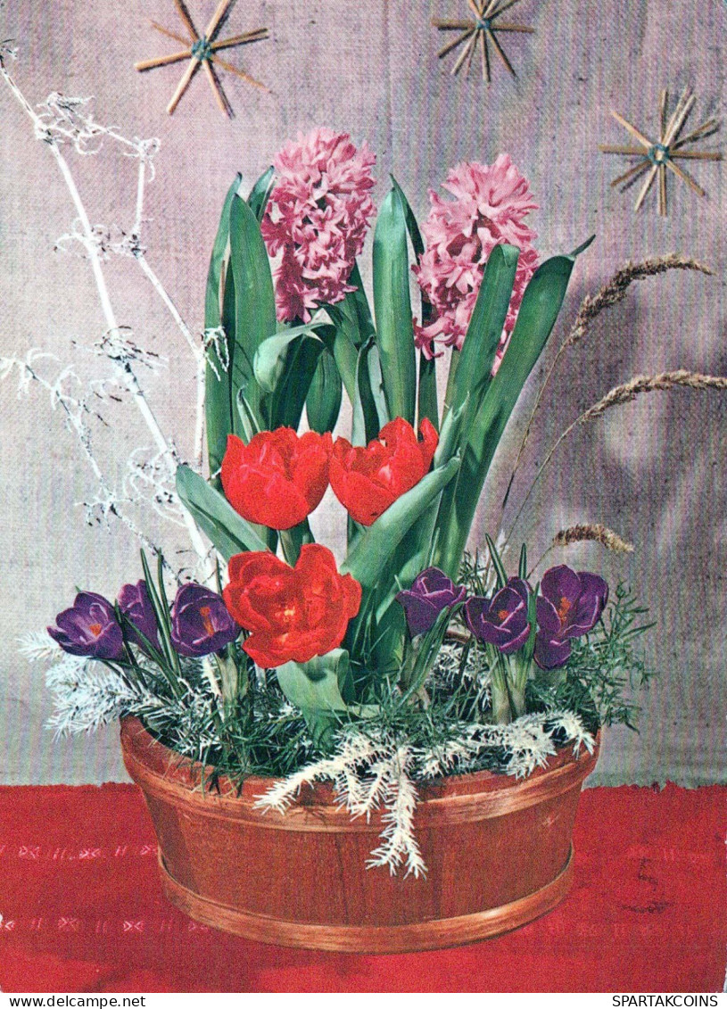 FLOWERS Vintage Postcard CPSM #PAS392.GB - Blumen