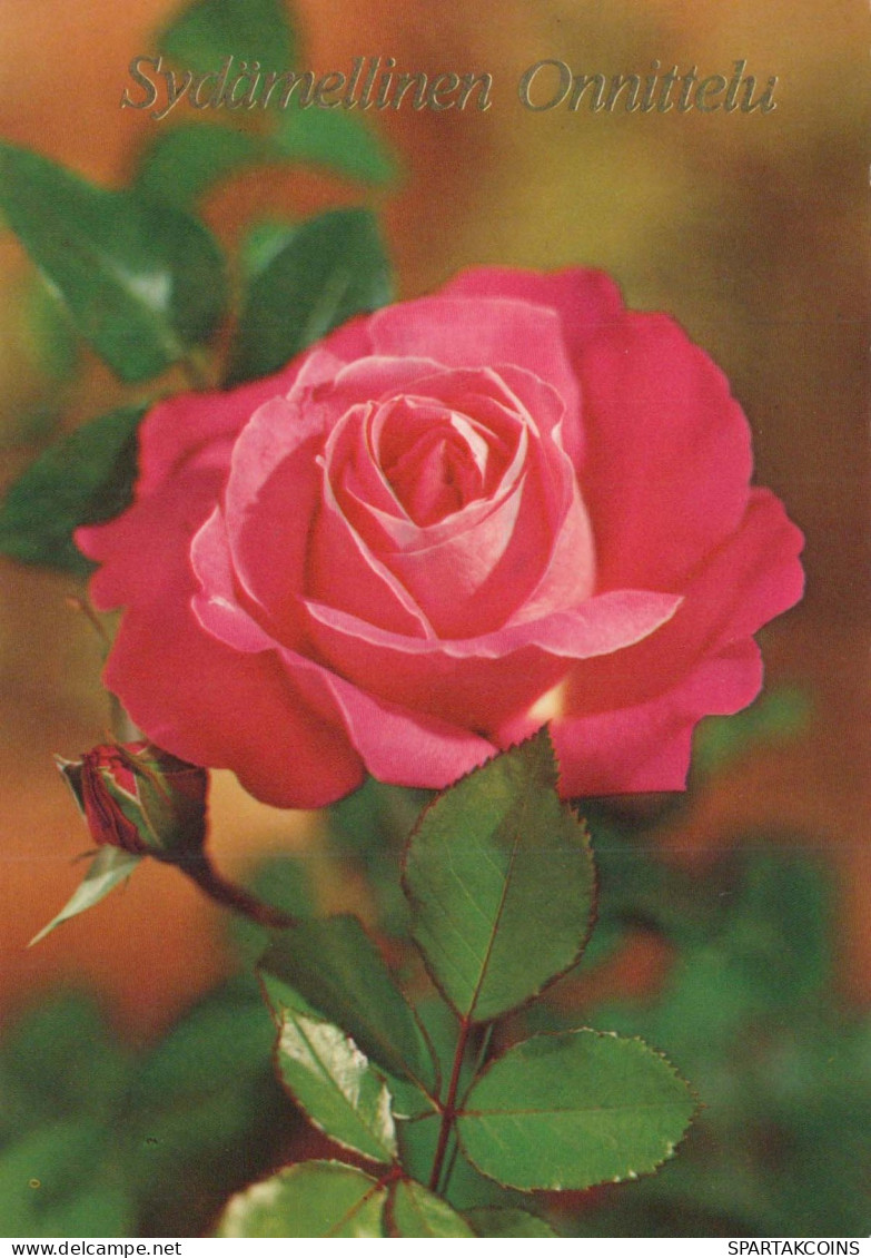 FLOWERS Vintage Postcard CPSM #PAS212.GB - Flowers