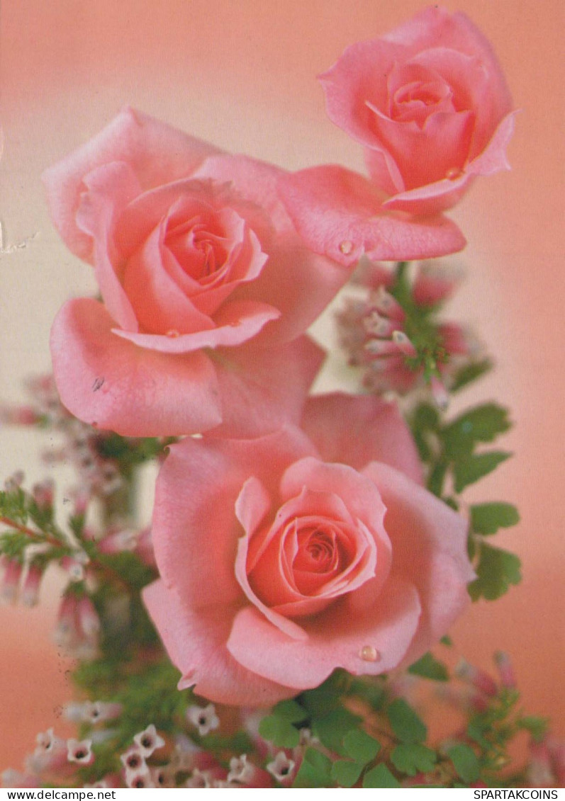FLOWERS Vintage Postcard CPSM #PAR911.GB - Blumen