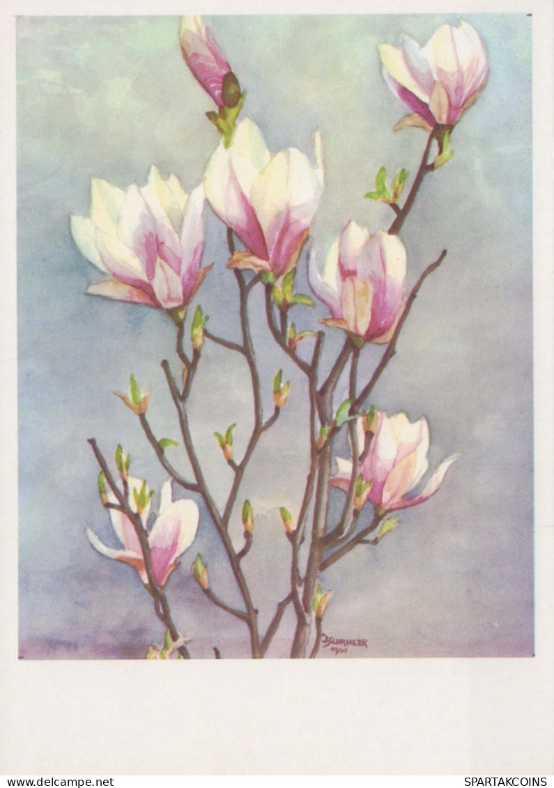 FLOWERS Vintage Postcard CPSM #PAR611.GB - Bloemen