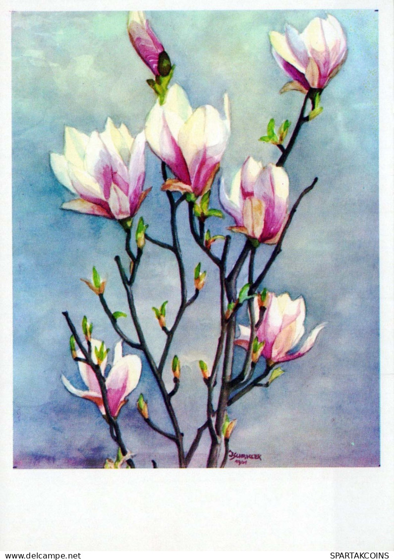 FLOWERS Vintage Postcard CPSM #PAR611.GB - Bloemen