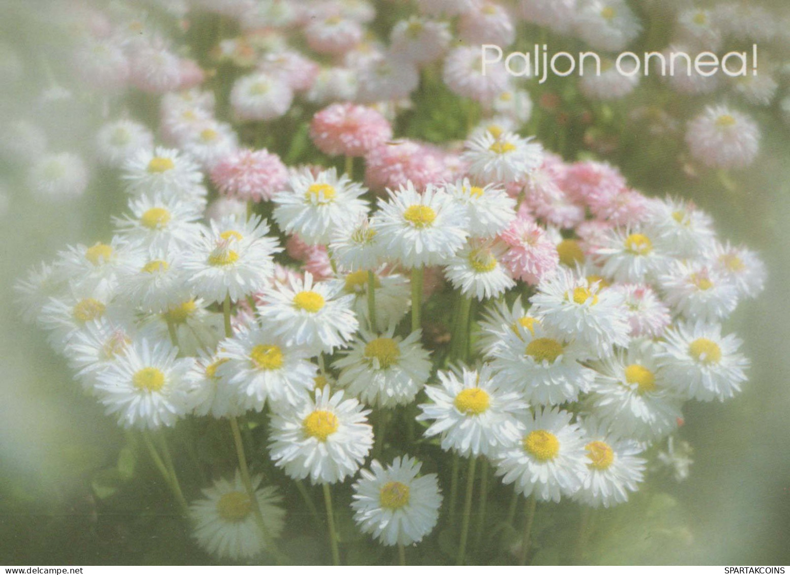 FLOWERS Vintage Postcard CPSM #PAR671.GB - Fleurs