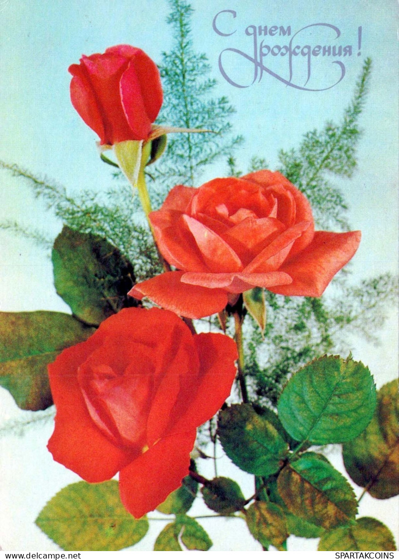 FLOWERS Vintage Postcard CPSM #PAR731.GB - Fleurs