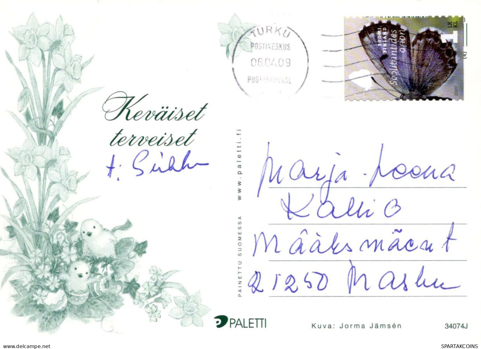 FLOWERS Vintage Postcard CPSM #PAR009.GB - Fleurs