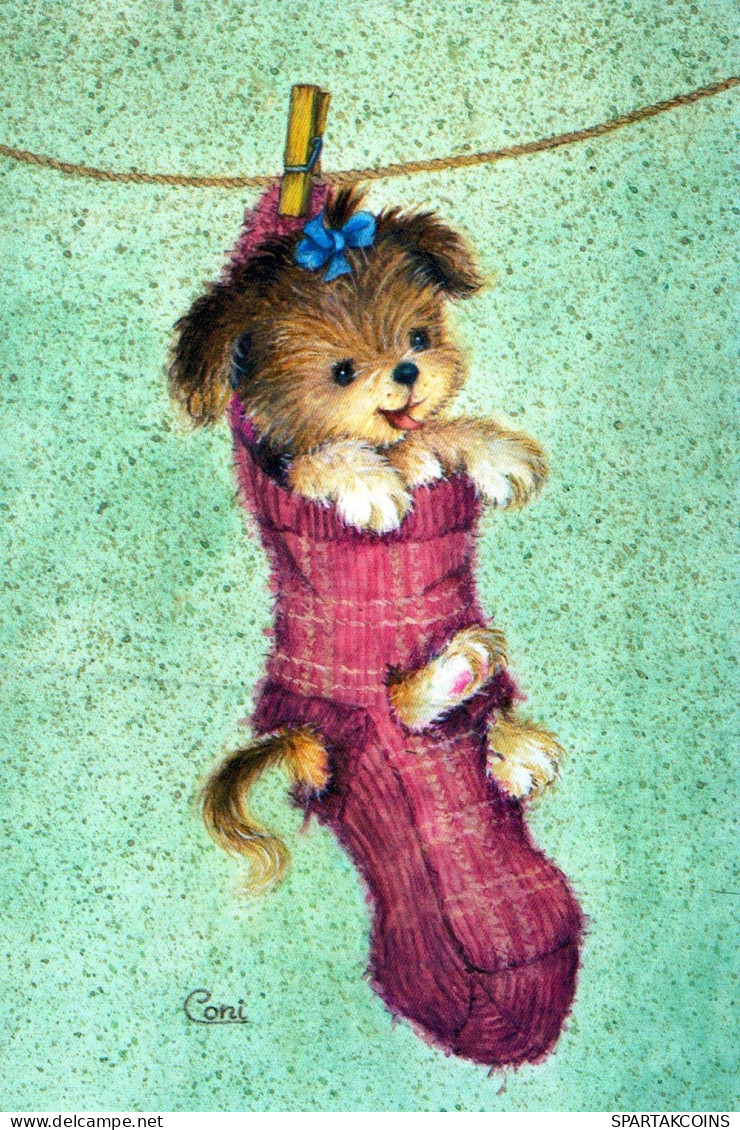 DOG Animals Vintage Postcard CPSM #PAN812.GB - Chiens