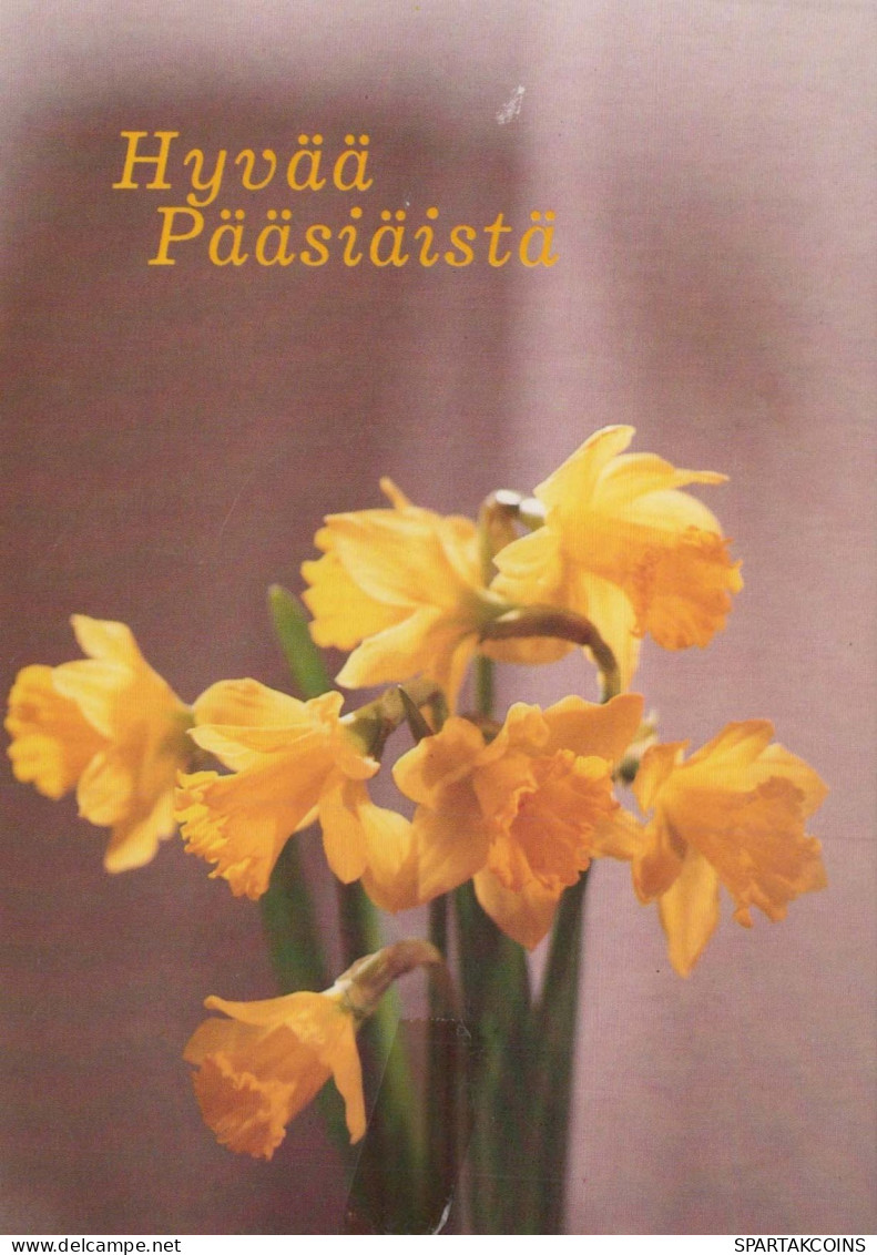 FLOWERS Vintage Postcard CPSM #PAR069.GB - Fleurs