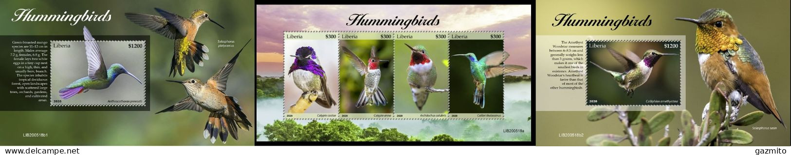 Liberia 2020, Animals, Hummingbirds, 4val In BF+2BF - Liberia